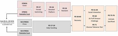 Palatable Food Dampens the Long-Term Behavioral and Endocrine Effects of Juvenile Stressor Exposure but May Also Provoke Metabolic Syndrome in Rats